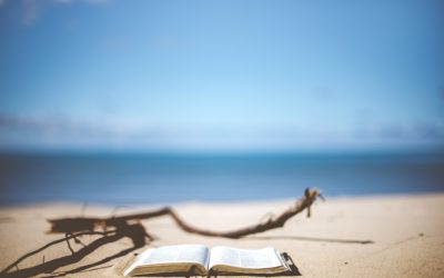 Libri interessanti da mettere assolutamente in valigia!